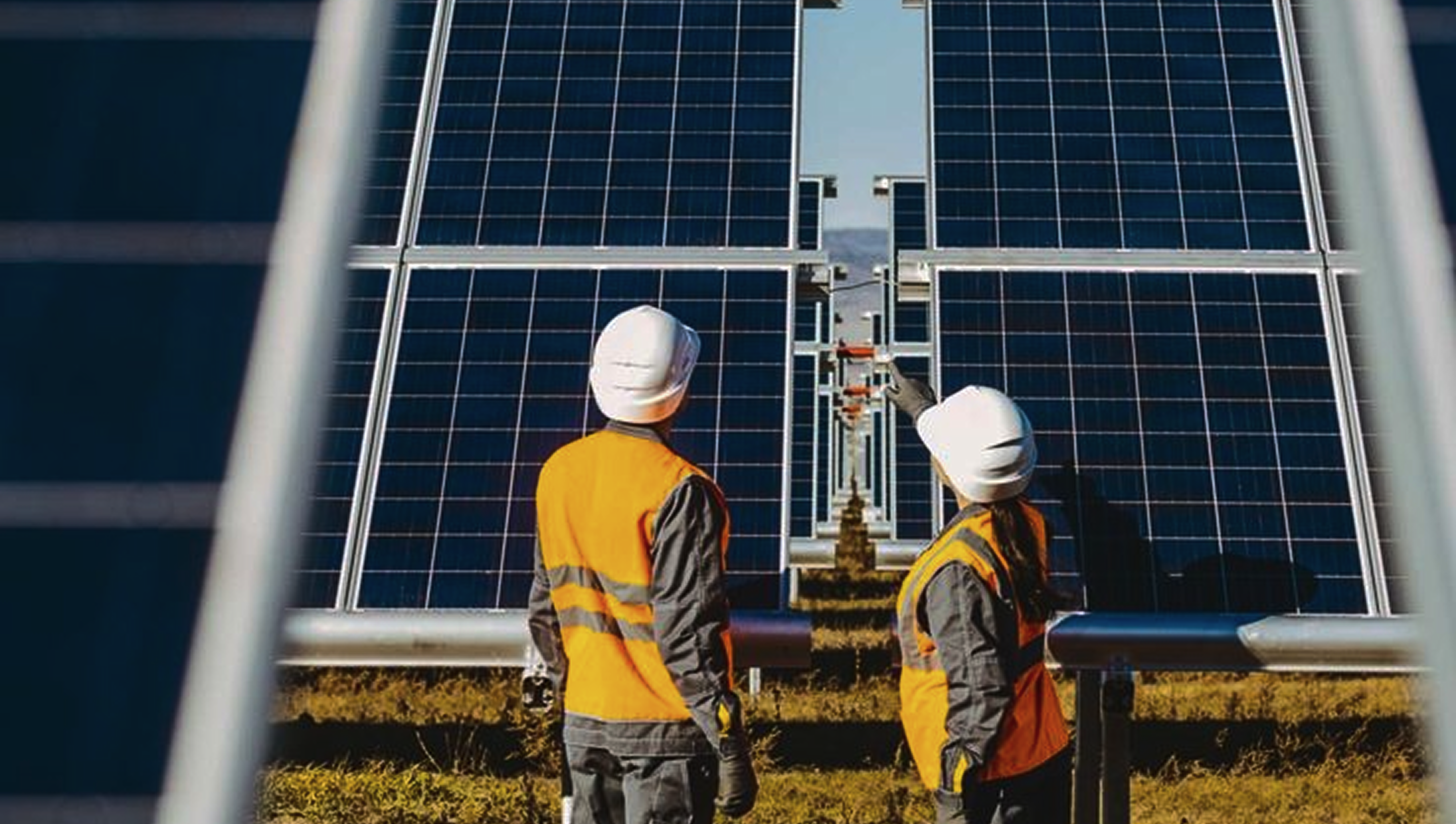 Sustainability That Lights the Way